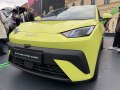 BYD Dolphin Surf